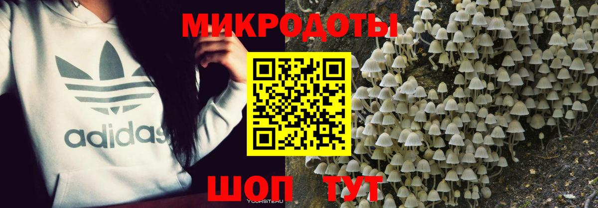 Галлюциногенные грибы MAGIC MUSHROOMS Искитим