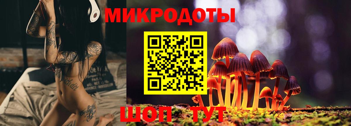 Галлюциногенные грибы мухоморы  Вход с VPN  Искитим 